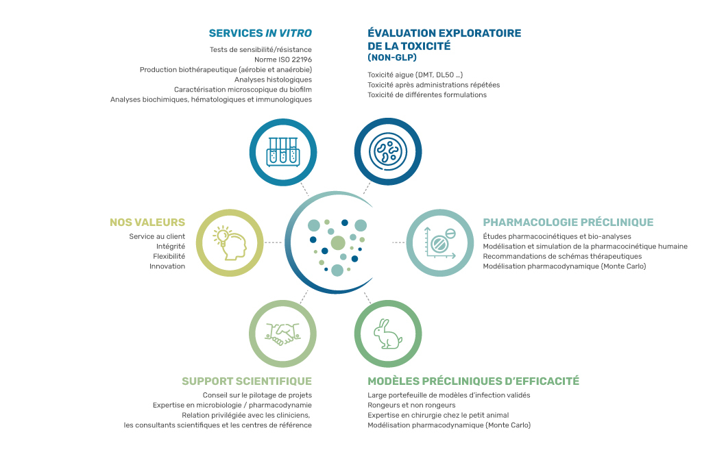 infographie