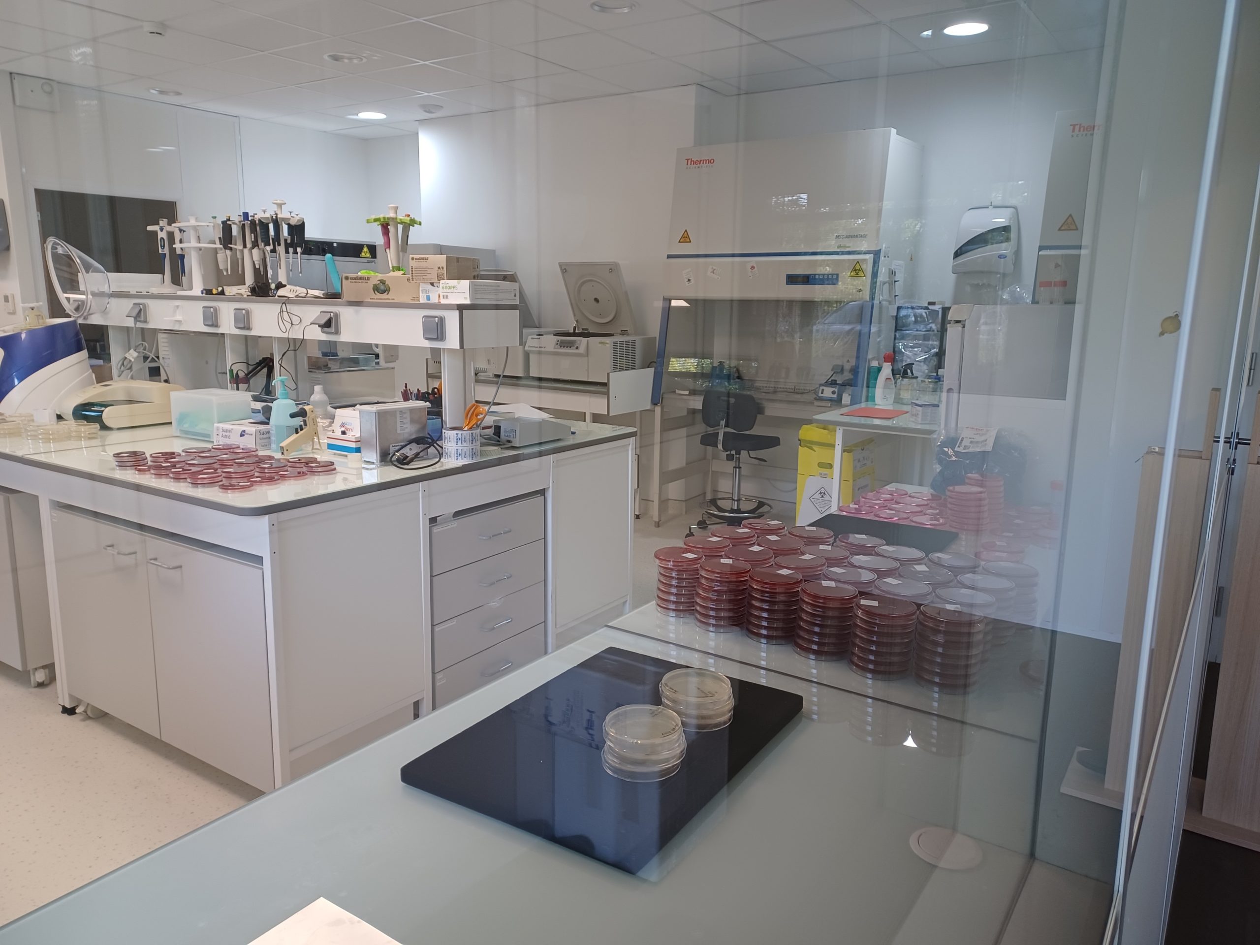 Nouveaux locaux du laboratoire Vivexia – installations équipées pour études clients
